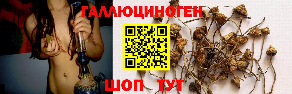 Галлюциногенные грибы Magic Shrooms  Вход с VPN  Вышний Волочёк 