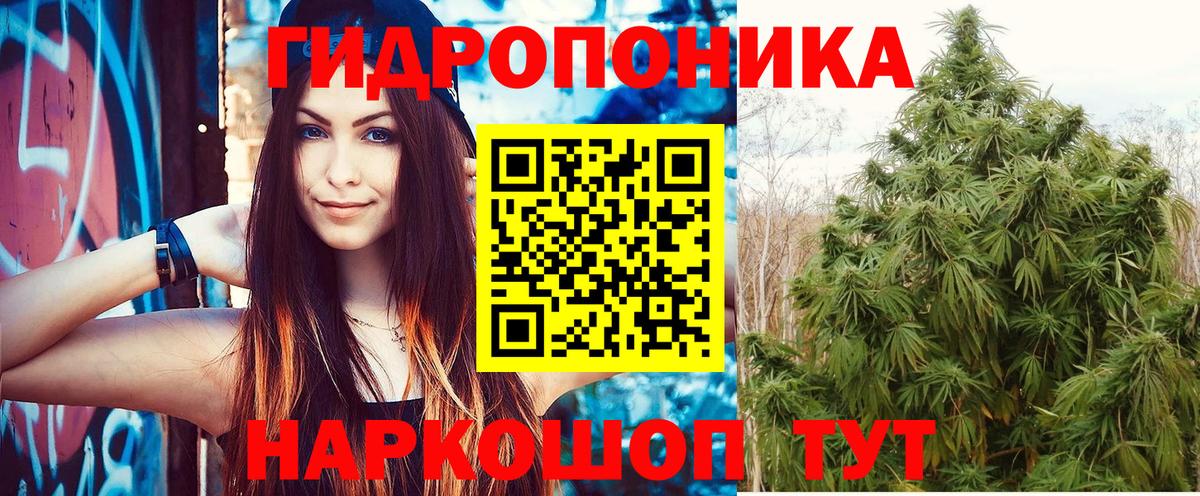 Каннабис конопля  Бошки Шишки AK-47  Вышний Волочёк  Канабис тримм  Конопля Amnesia  Вход с VPN 